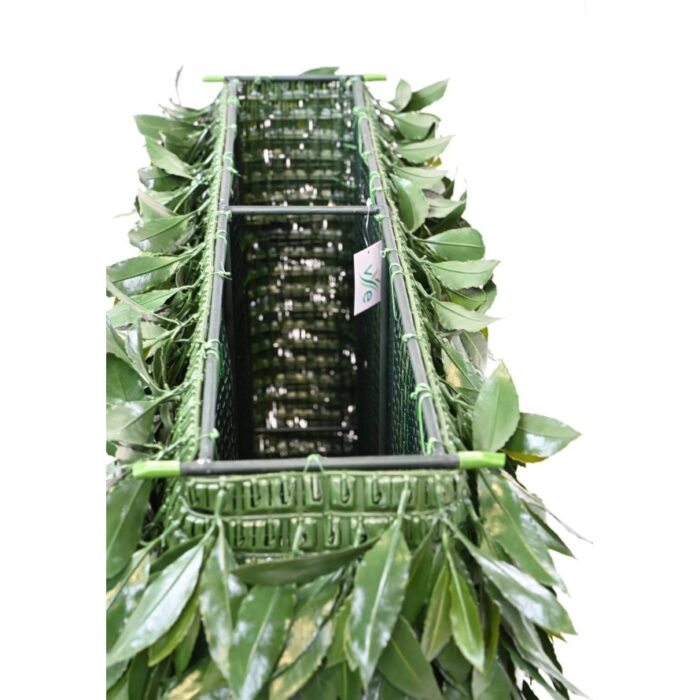laurel nobilis new uv hedge 3