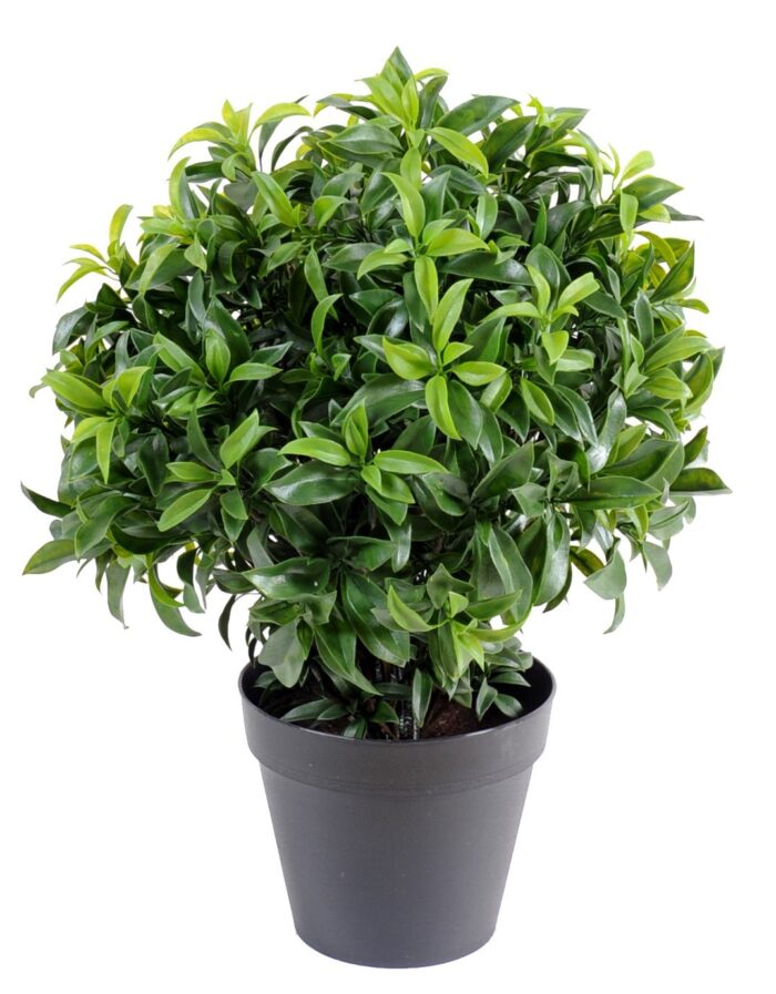 laurel plast bush 2