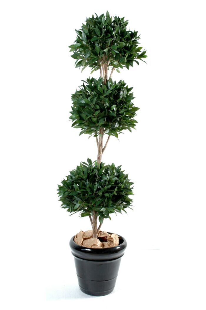 laurel three ball scaled