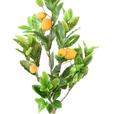 lemon tree 90 cm 1 scaled