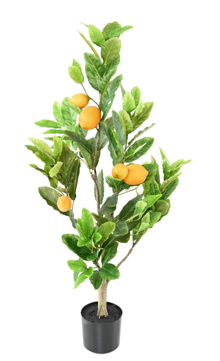 lemon tree 90 cm 1 scaled