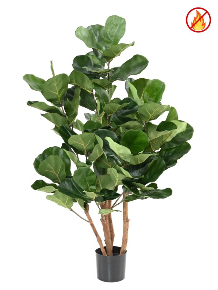 lyrata royal bush fr fire resistant scaled