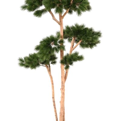 multiple pin s scaled