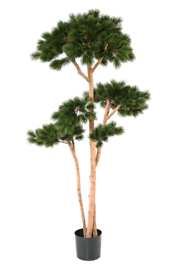 multiple pin s scaled