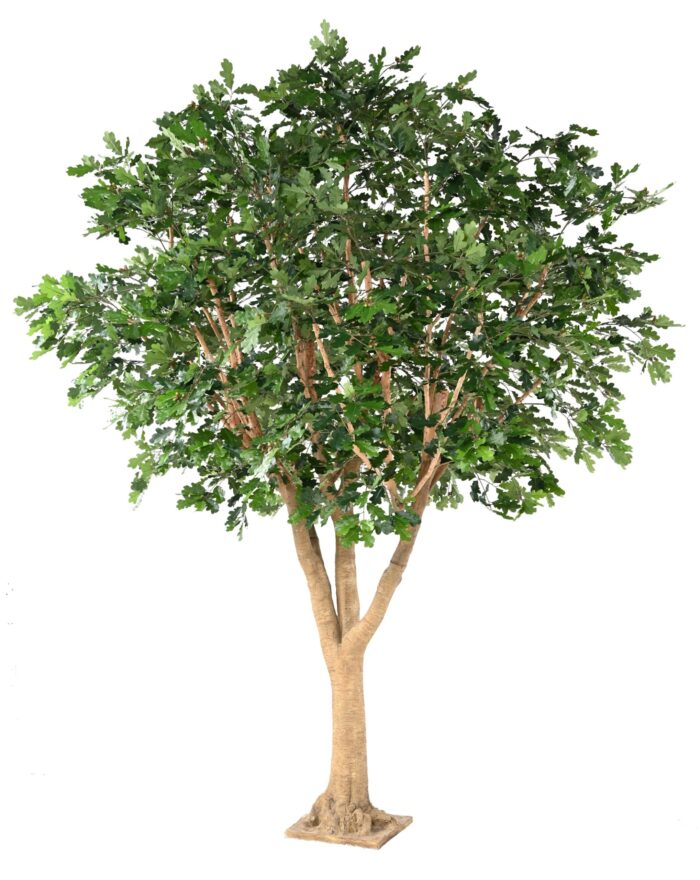 oak t 360 scaled