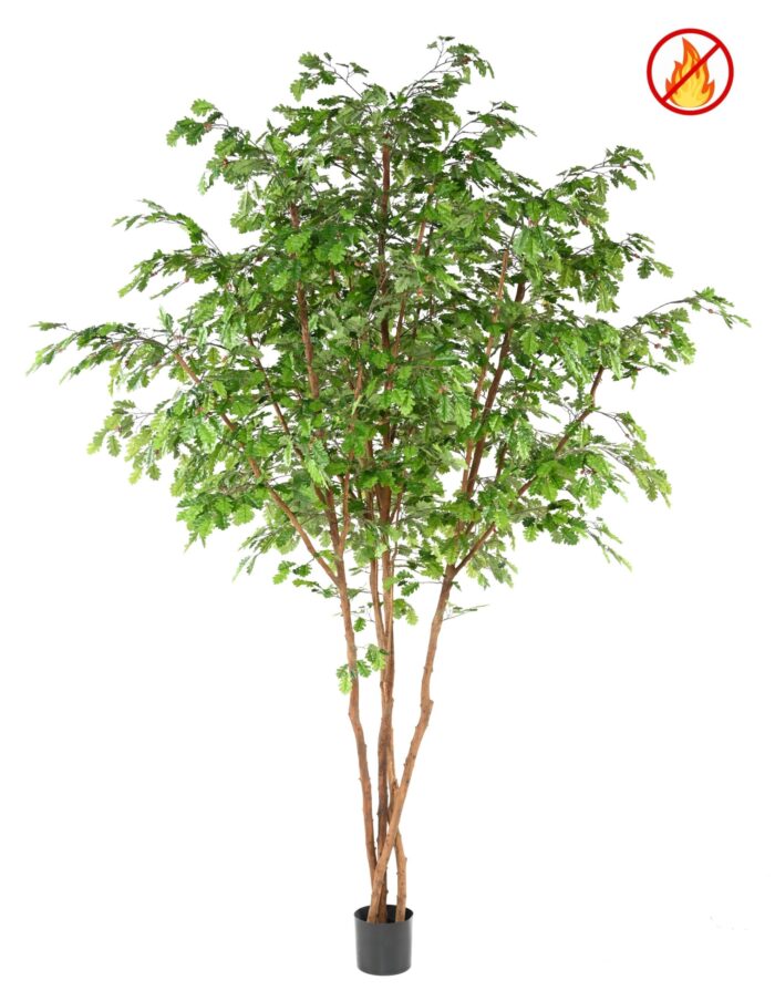 oak tree 330 fr fire resistant scaled