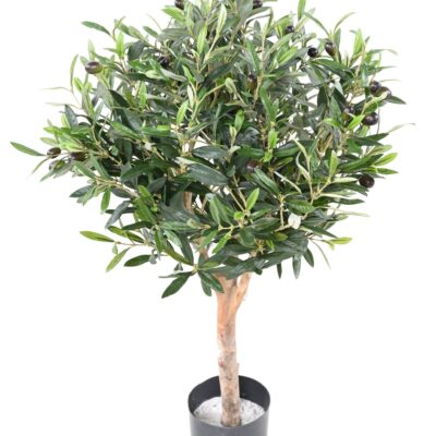 olive tree ball scaled
