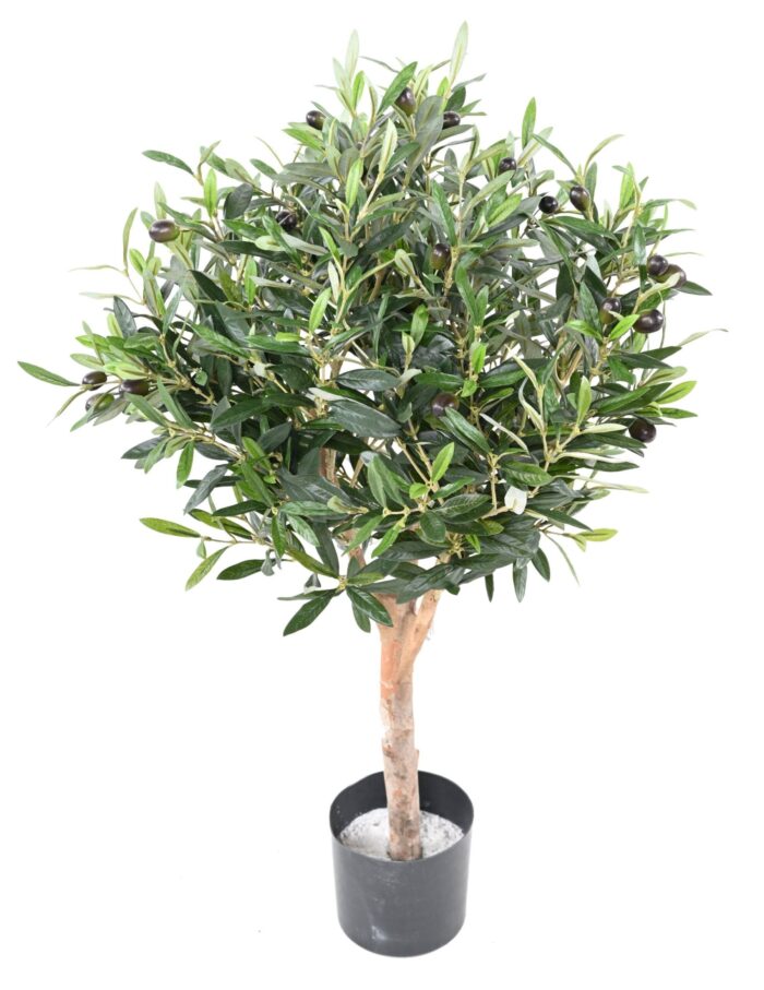 olive tree ball scaled