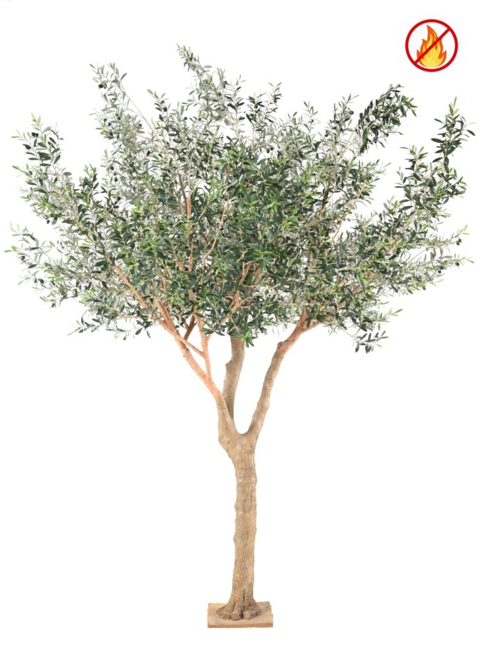 olive tree l fr fire resistant scaled