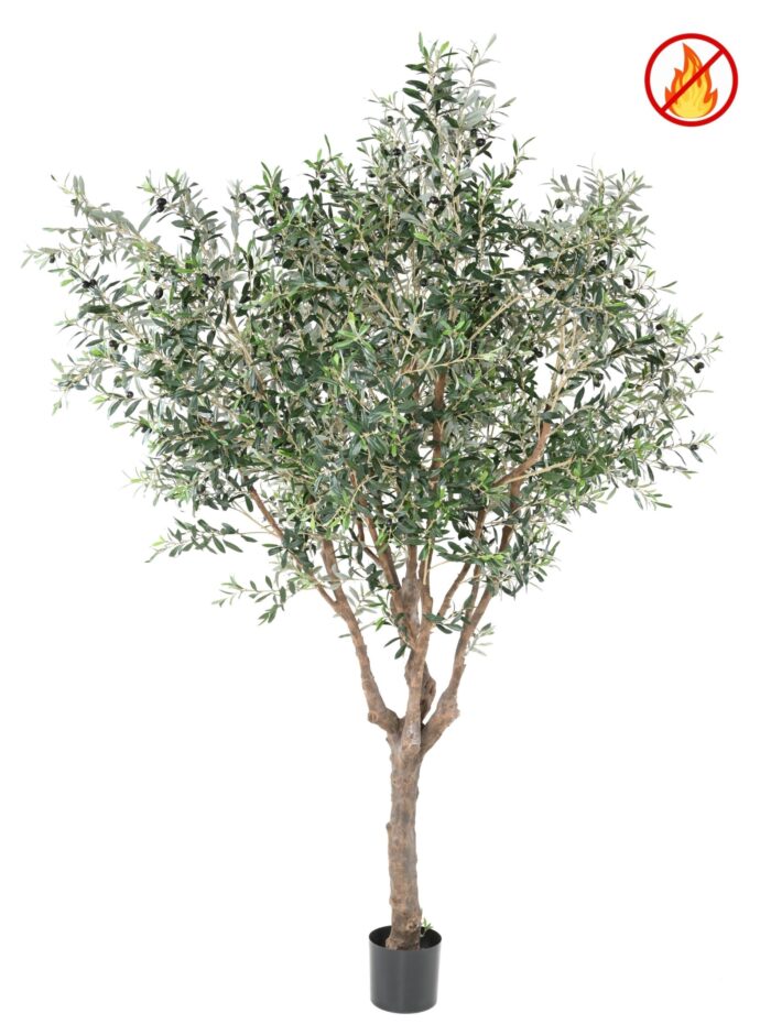olive tree m fr fire resistant scaled