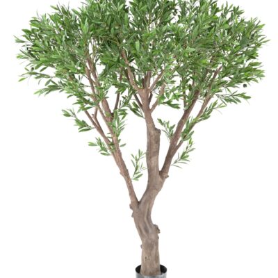 olivier geant plast 185 uv scaled