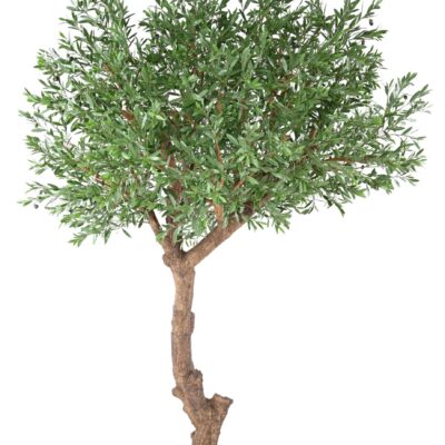 olivier tete giant plast 270 uv scaled