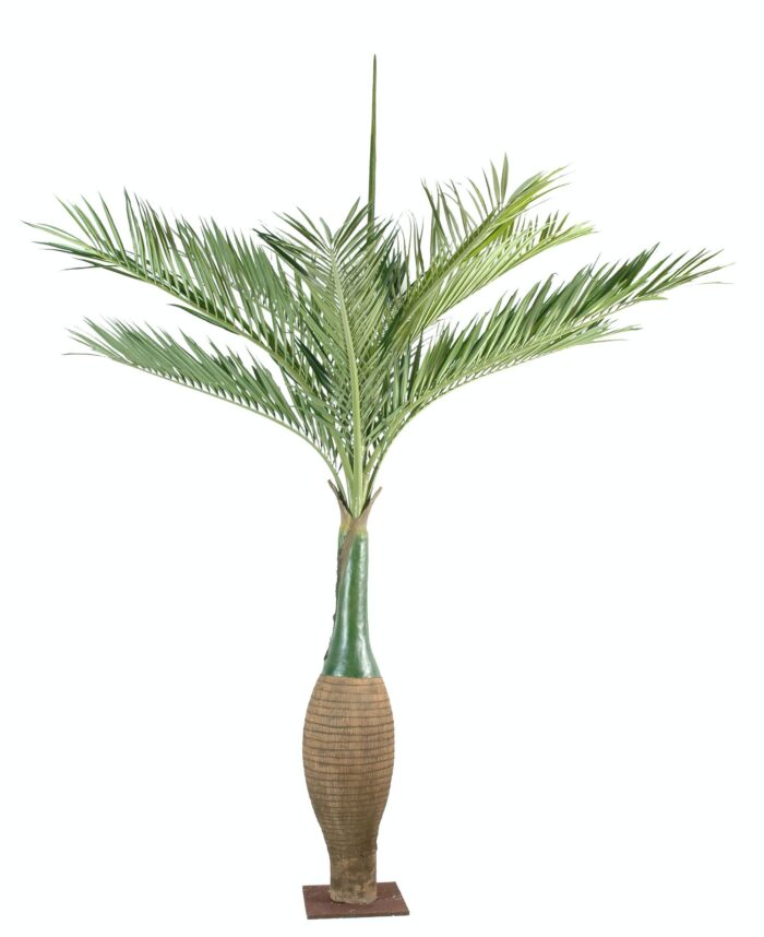 palm tree bottle 1