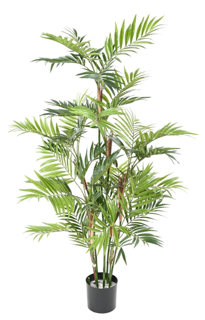 palm tree parlour 1 scaled