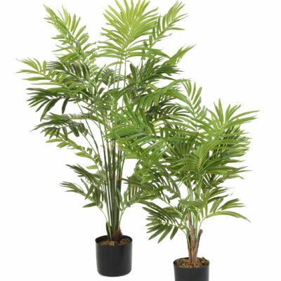 palm tree parlour bush 1 scaled