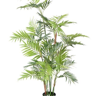 palm tree parlour11 150 fr fire resistant scaled