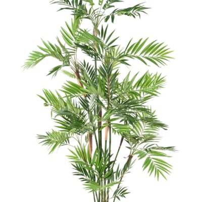 palm tree parlour13 180 fr fire resistant scaled