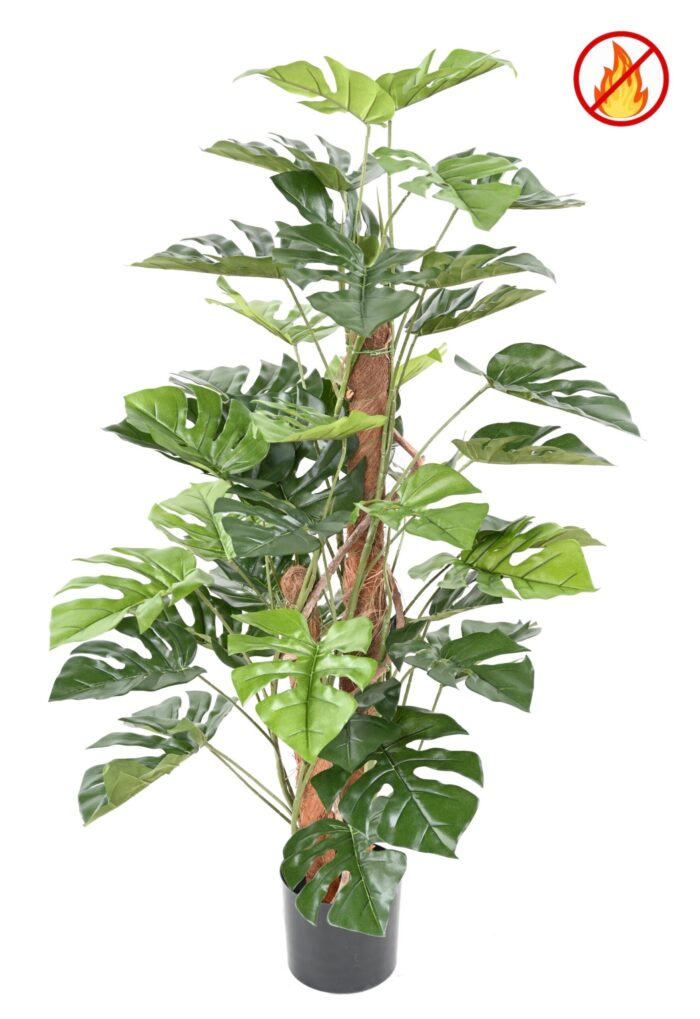 philodendron monstera on coco pole fr fire resistant scaled