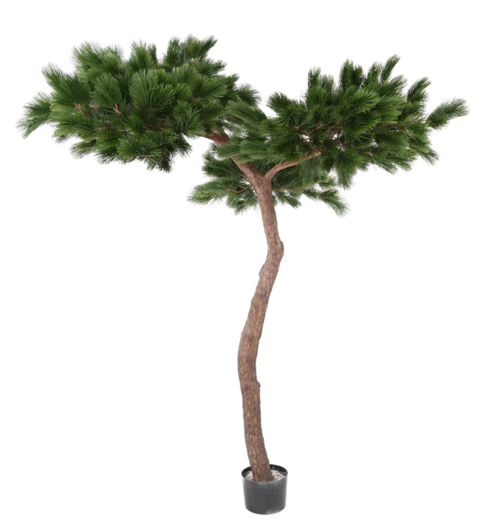 pin umbrella t 240 scaled