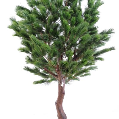 pine austria wide fr fire resistant scaled
