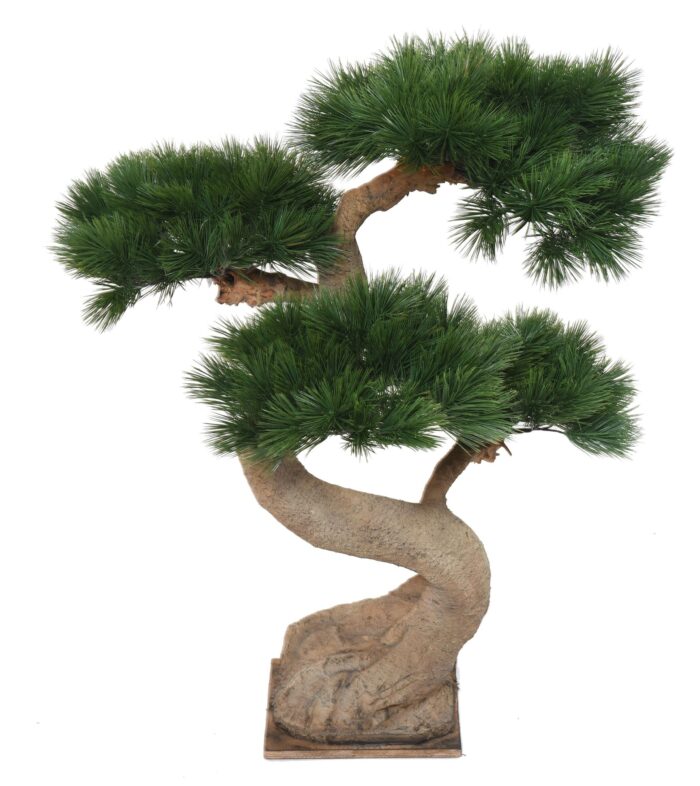 pine bonsai 92 uv scaled