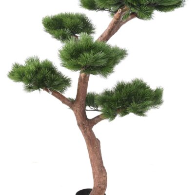 pine bonsai uv 1