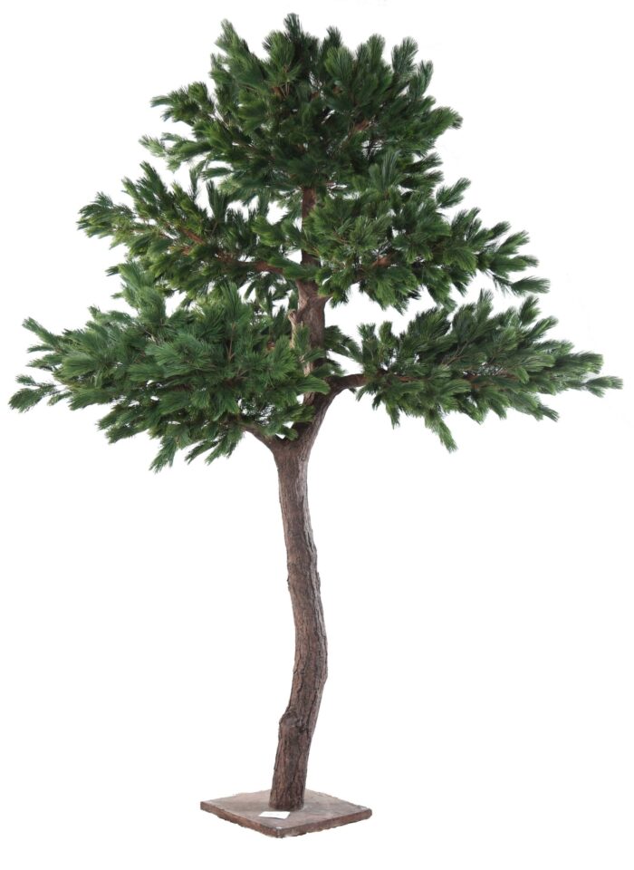 pine luxury 600 scaled