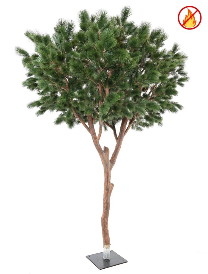 pine maritime 310 fr fire resistant scaled