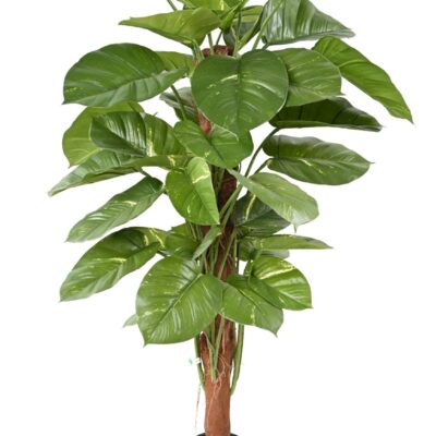 pothos geant scaled