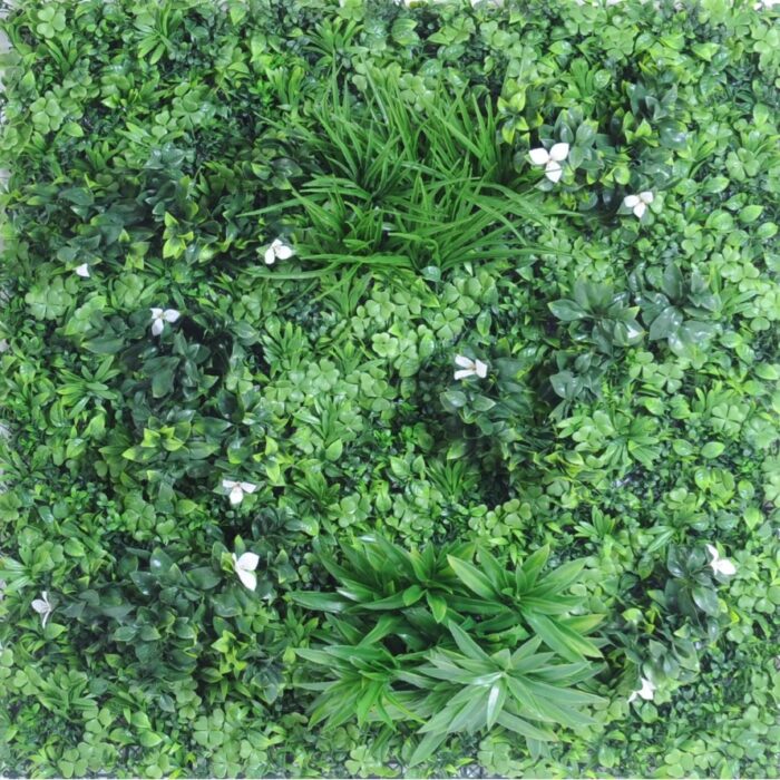 vegetal wall plate c