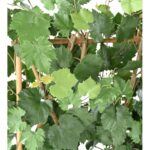 Künstliche Efeuhecke UV-beständig, ca. 115cm hoch – Bild 3