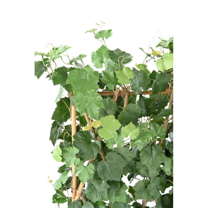 vine hedge plast uv resistant 4