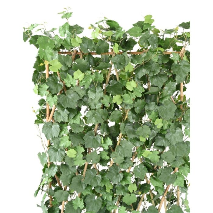 vine hedge plast uv resistant 5