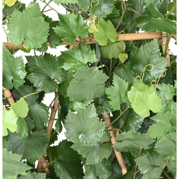 vine hedge plast uv resistant 6