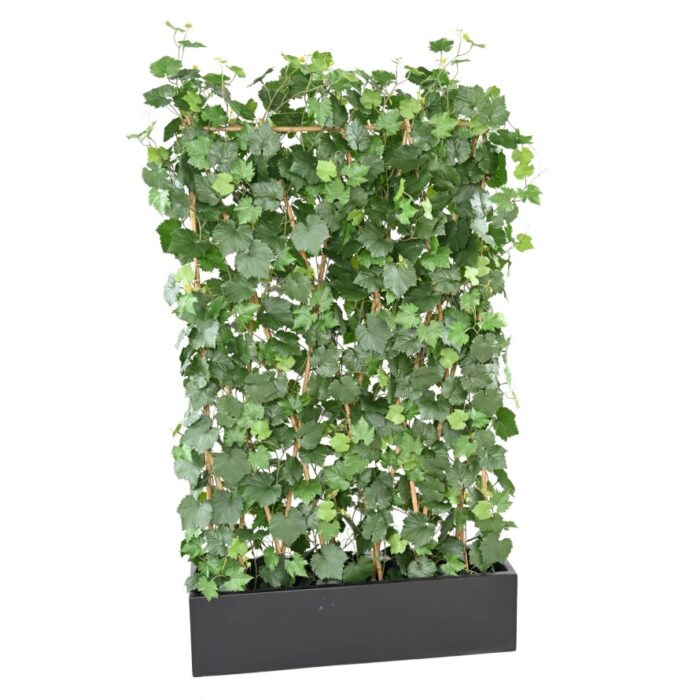 vine hedge plast uv resistant 7