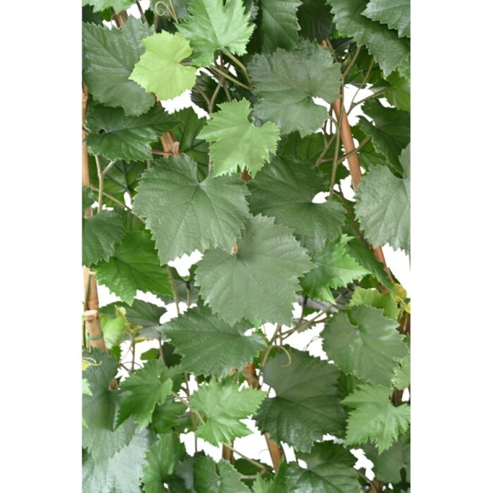 vine hedge plast uv resistant 9