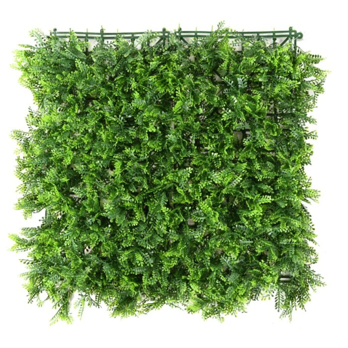wall background mini ferns 5050
