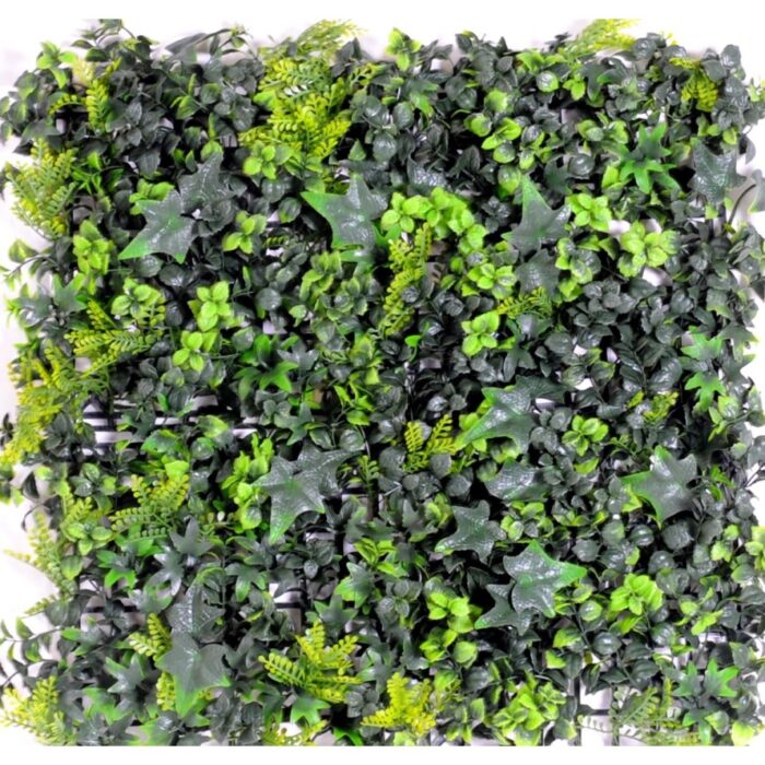 wall background of ivy boxwood