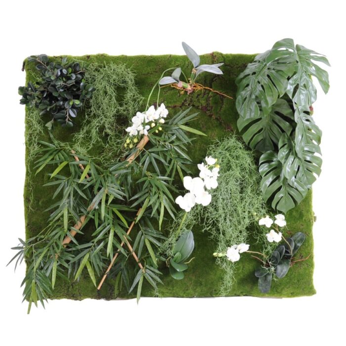 wall vegetal 130110