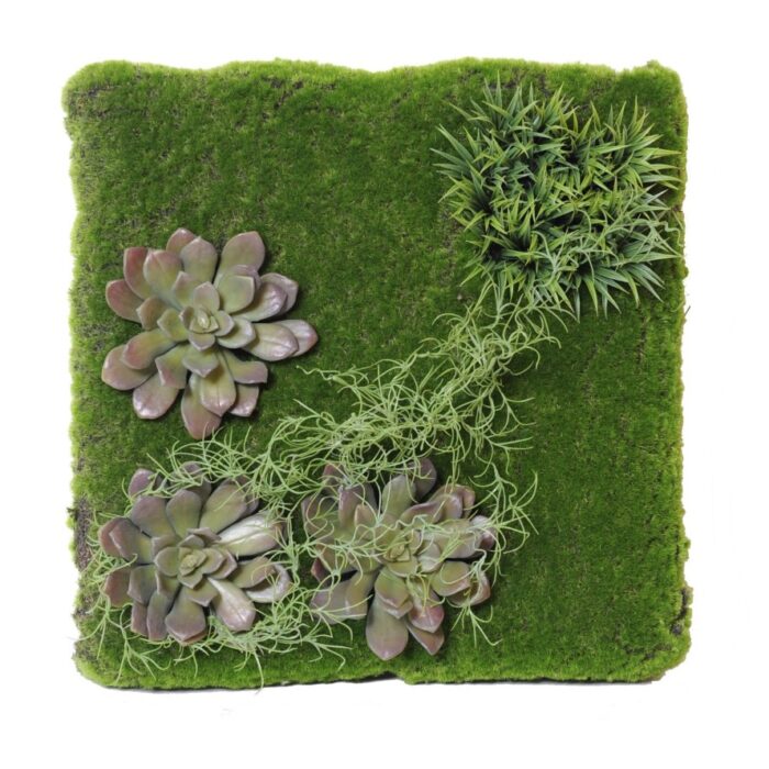 wall vegetal 4343