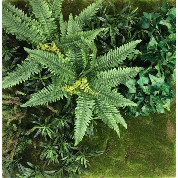 wall vegetal c1