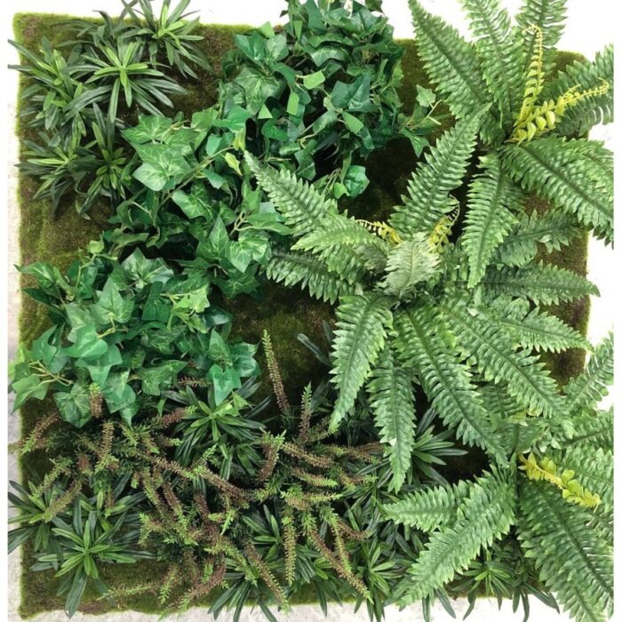 wall vegetal c2