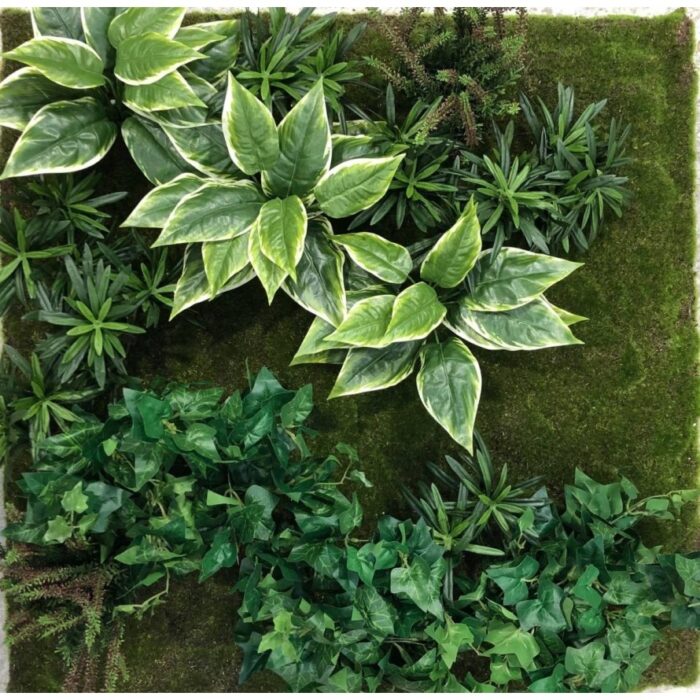 wall vegetal c3
