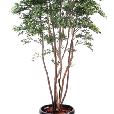 willow american plast