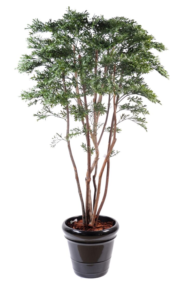 willow american plast