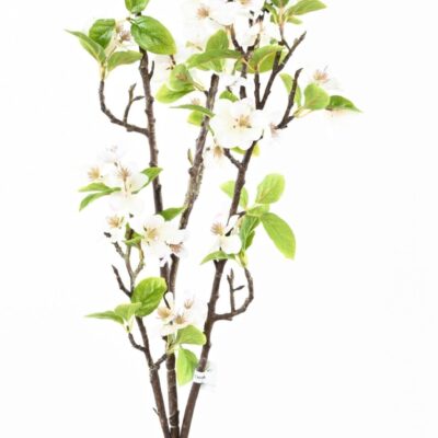 apple tree spray 125 xl scaled