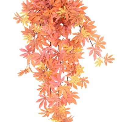 aralia fall 96 a scaled