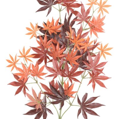 aralia new spray 44 scaled