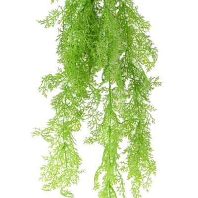 asparagus mini fall scaled