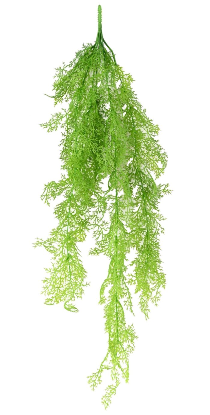 asparagus mini fall scaled